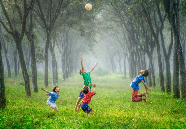 Photo by Robert Collins via Unsplash